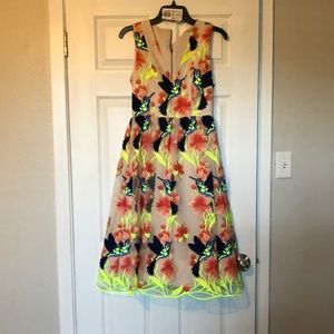 New Alice and Olivia Becca dress
